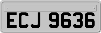 ECJ9636