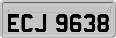 ECJ9638