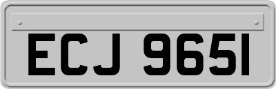 ECJ9651
