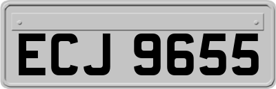ECJ9655