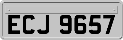 ECJ9657