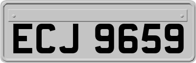 ECJ9659