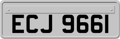 ECJ9661