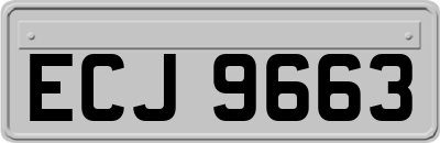 ECJ9663