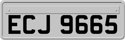 ECJ9665