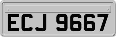 ECJ9667