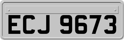 ECJ9673
