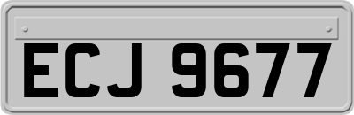 ECJ9677