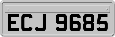 ECJ9685