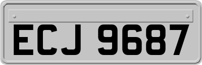 ECJ9687