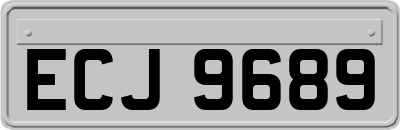 ECJ9689