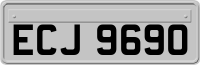 ECJ9690