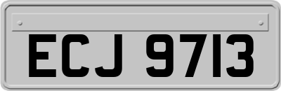 ECJ9713