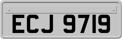 ECJ9719