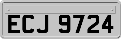 ECJ9724