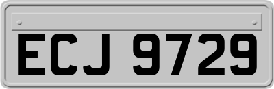 ECJ9729