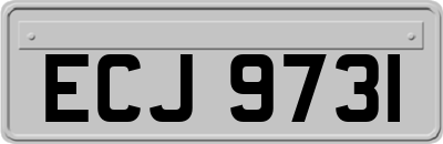 ECJ9731