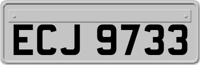 ECJ9733