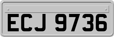 ECJ9736