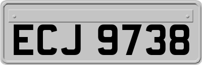 ECJ9738