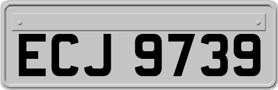 ECJ9739