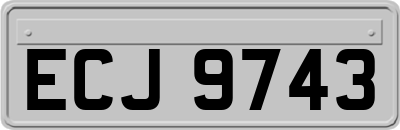 ECJ9743