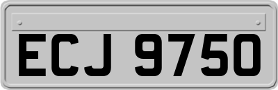ECJ9750