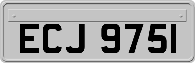 ECJ9751