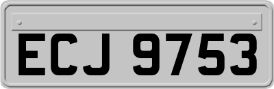 ECJ9753