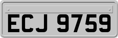 ECJ9759