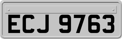 ECJ9763