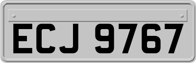 ECJ9767