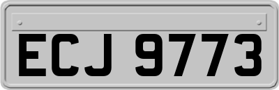 ECJ9773