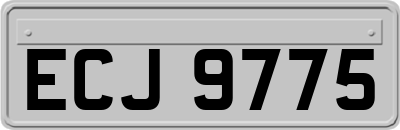 ECJ9775