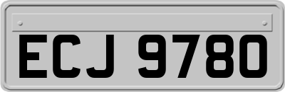 ECJ9780
