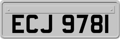ECJ9781