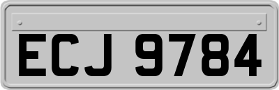 ECJ9784