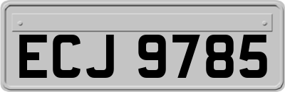 ECJ9785
