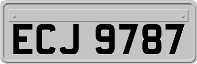 ECJ9787