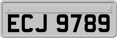 ECJ9789