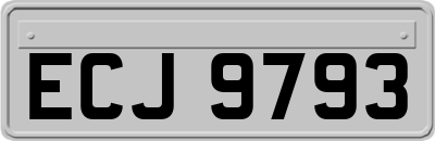ECJ9793