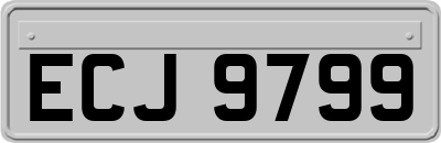 ECJ9799
