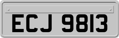 ECJ9813