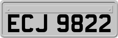 ECJ9822