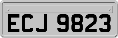 ECJ9823