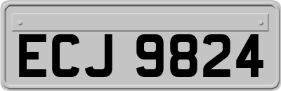 ECJ9824