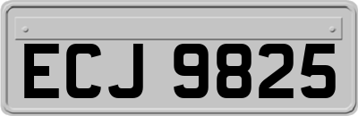 ECJ9825