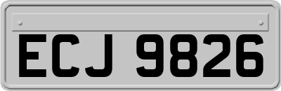 ECJ9826