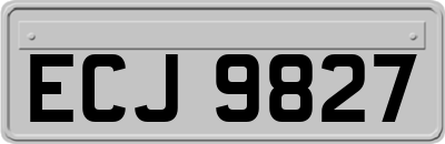 ECJ9827