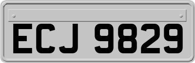 ECJ9829